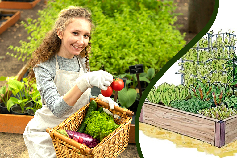 diakosmo-periodiko, garden design, herbs, plant your own herbs, gardening, green house, houseplants, plantlover, indoorplants, summer, spring